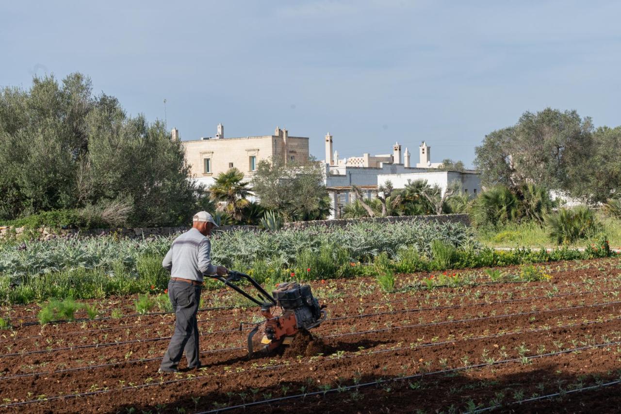 Masseria Palombara Relais & Spa - Adults Only Villa Manduria Exteriör bild